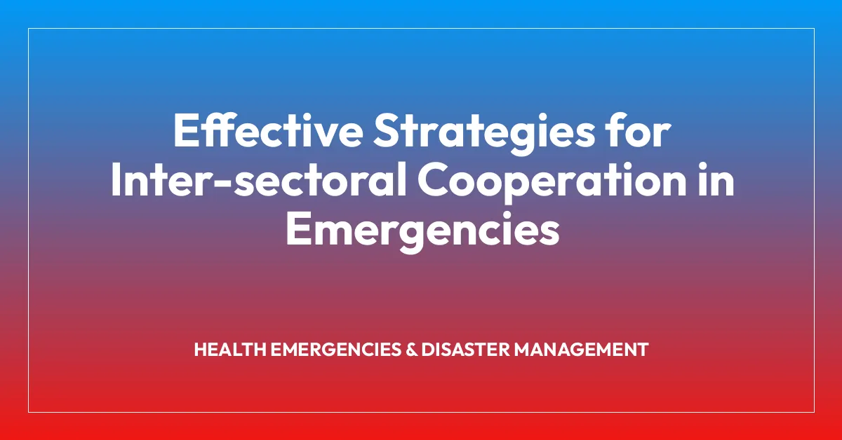 Effective Strategies for Inter-sectoral Cooperation in Emergencies
