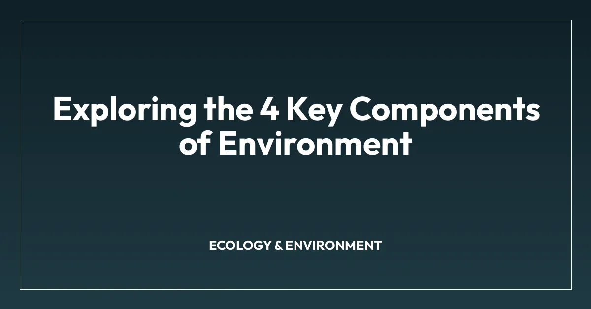 Exploring the 4 Key Components of Environment