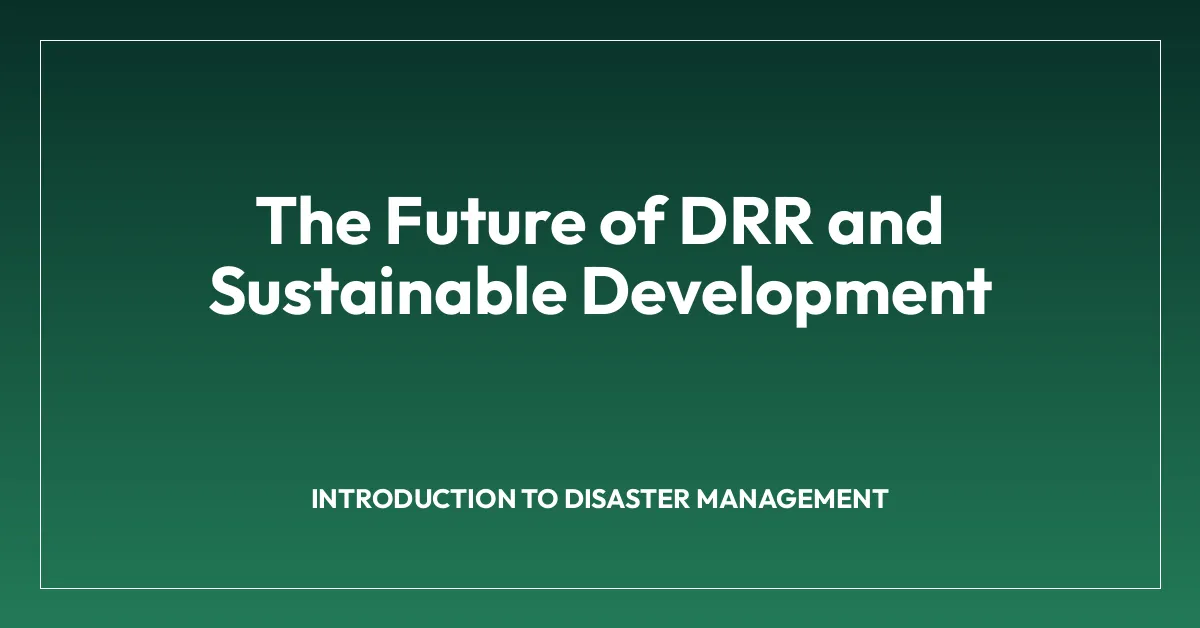 The Future of DRR and Sustainable Development