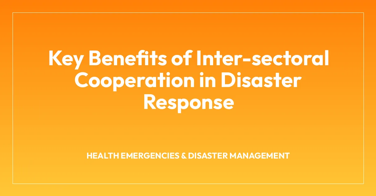Key Benefits of Inter-sectoral Cooperation in Disaster Response