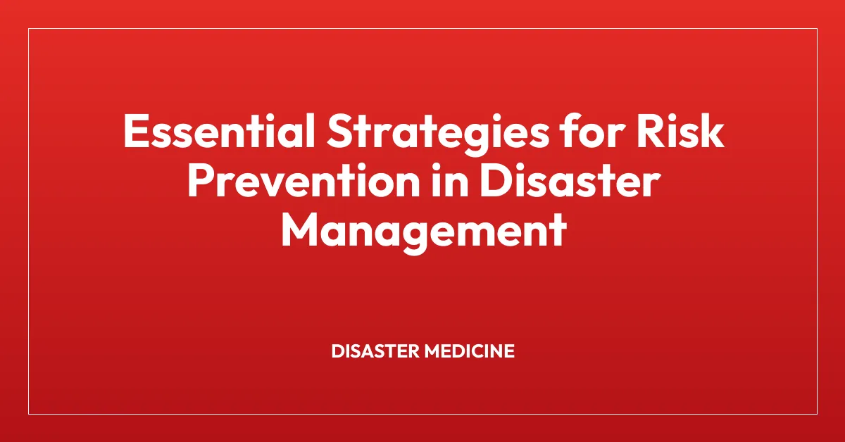 Essential Strategies for Risk Prevention in Disaster Management