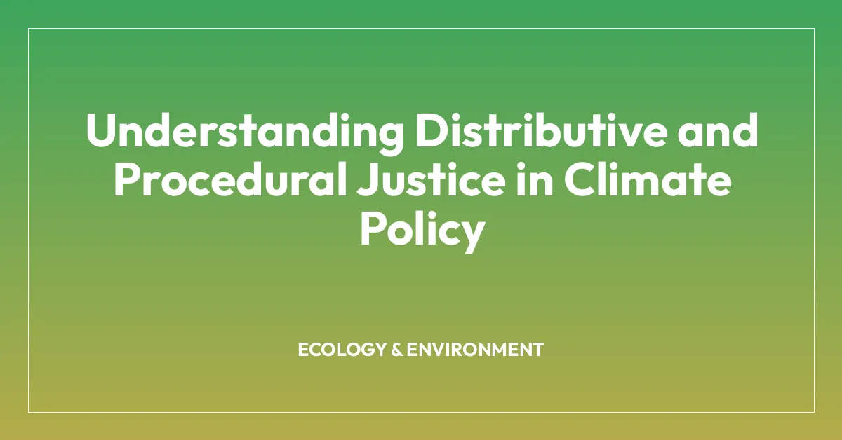 Understanding Distributive and Procedural Justice in Climate Policy